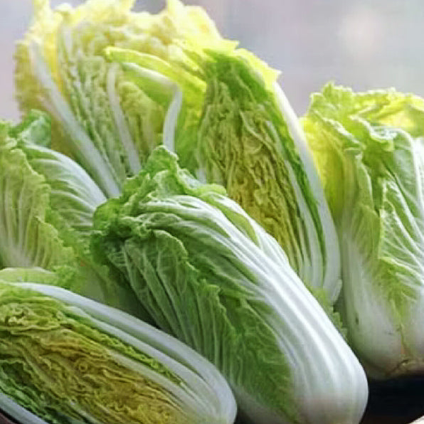 绿叶农场皇帝菜•小白菜<br>/农场直供