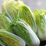 绿叶农场皇帝菜•小白菜<br>/农场直供