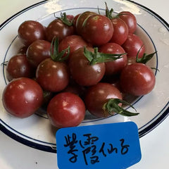 【新品】老吴农场紫霞仙子小番茄<br>有机种植