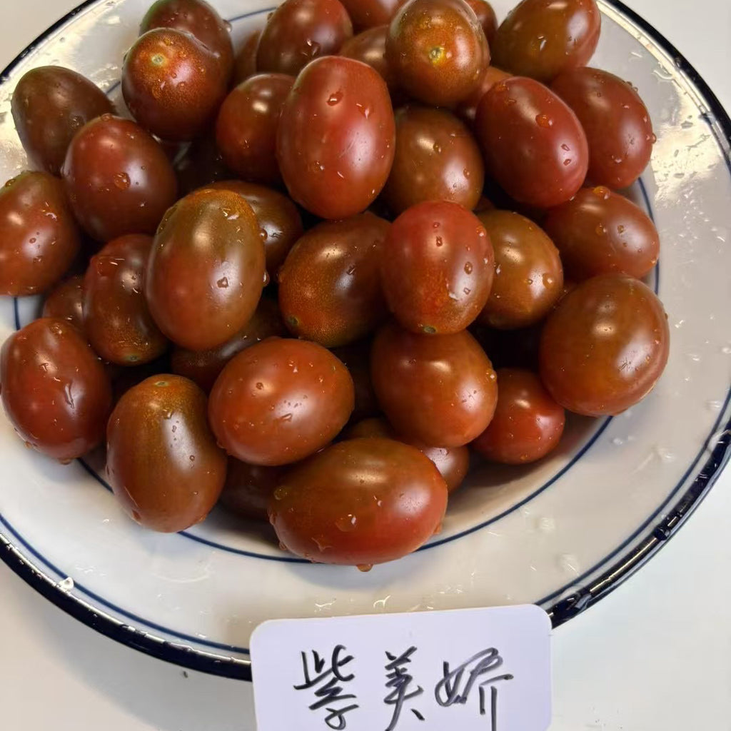【新品】老吴农场紫美娇小番茄<br>有机种植