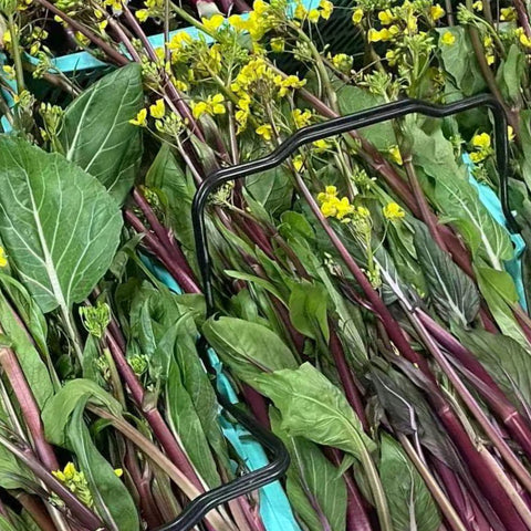 老吴农场小叶红菜苔<br>有机方式种植