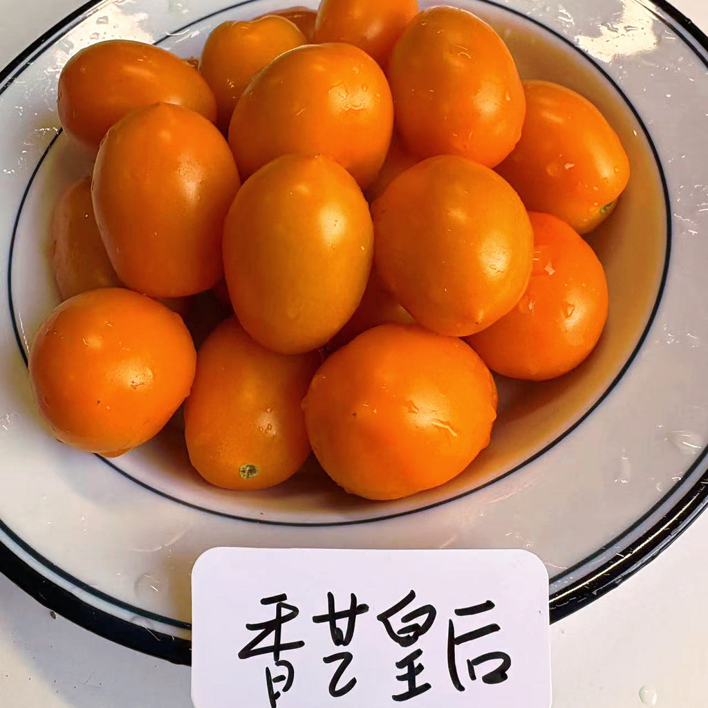 【新品】老吴农场香芒皇后小番茄<br>有机种植