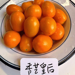 【新品】老吴农场香芒皇后小番茄<br>有机种植