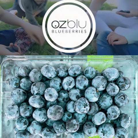 OZBlu®蓝莓大盒家庭装<br>OZBlu大颗粒甜