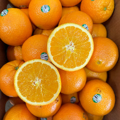 加州脐橙<br>California Navel Oranges
