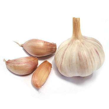 Garlic<br>蒜头