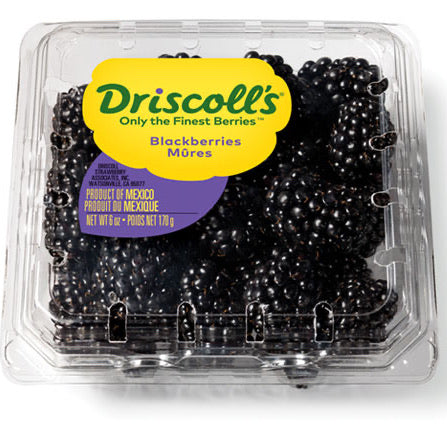 Driscoll’s黑莓2盒<br> 百年浆果No.1