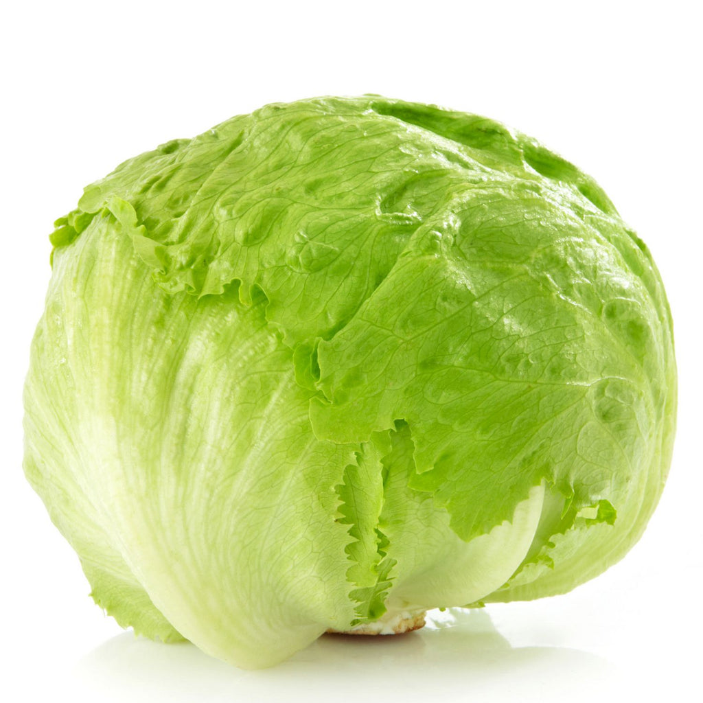 新鲜球生菜<br>Iceberg lettucepo