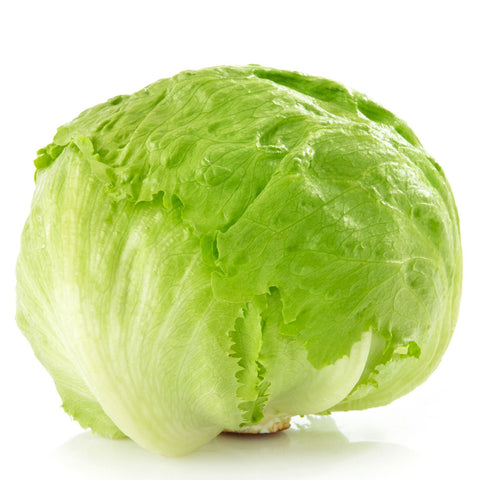 新鲜球生菜<br>Iceberg lettuce