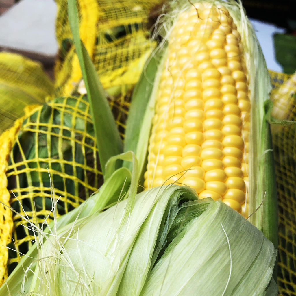 本地NO.1非转基因甜嫩黄玉米<br> Ontario's finest GMO-free Sweet Corn