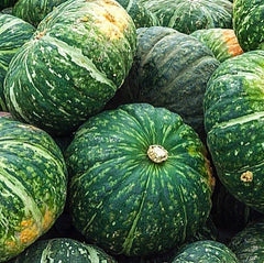 新季南瓜<br>/农场直供