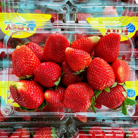 FOXY鲜草莓<br>FOXY Strawberries