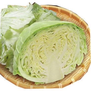 农场卷心菜<br>Cabbage