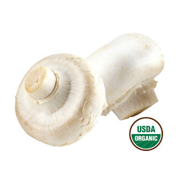 有机白蘑菇<br>Organic White